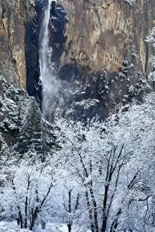 Images Dated 22nd February 2010: Fresh snowfall coats the trees below Bridalveil Falls in Yosemite National Park