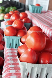 Prints of Fresh tomatoes in Shipshewana farmers market in Amish country Indiana Images Dated 2024 October: Fresh tomatoes in Shipshewana farmers market in Amish country Indiana