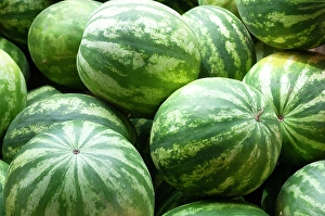 Prints of Fresh watermelon in Shipshewana farmers market in Amish country Indiana Images Dated 2024 October: Fresh watermelon in Shipshewana farmers market in Amish country Indiana