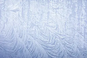 Frost Prints: Frost on automobile silver fender