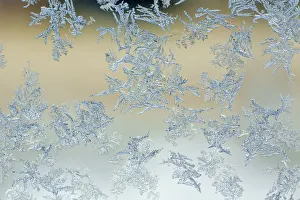 Frost pattern on window