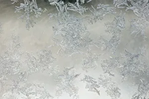 Ice Crystal Prints: Frost pattern on window