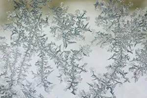 Images Dated 10th August 2017: Frost pattern on window