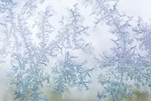 Images Dated 10th August 2017: Frost pattern on window