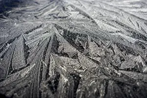 Images Dated 12th October 2017: Frost pattern. Winter in British Columbia brings a variety of landscapes and closeups