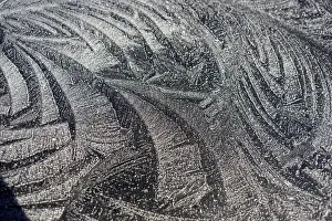 Images Dated 12th October 2017: Frost patterns. Winter in British Columbia brings a variety of landscapes and closeups