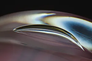 Frozen bubbles in glass
