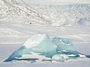 Vatnajokull Prints: Frozen glacial lake Fjallsarlon in Vatnajokull National Park view towards glacier