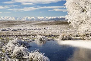 Images Dated 28th June 2006: Frozen Pond and