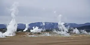 Images Dated 18th June 2007: Fumaroles in a highly active geothermal zone near Lake Myvatn, Iceland