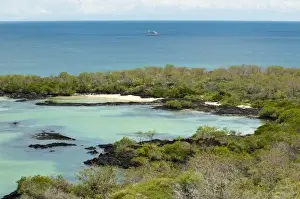 Isla Santa Maria Prints: Galapagos Islands, Ecuador. Small bay near Post Office Bay