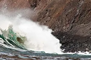 Curl Prints: Galapagos Islands, Ecuador. Vincente Roca Point on Isla Isabela (Isabela Island)
