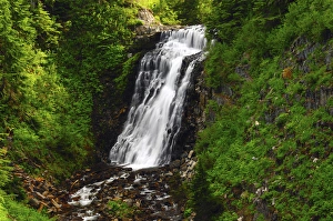 Butte Larose Prints: Galena Creek Falls; Mount Baker-Snoqualmie National Forest; Washington; USA