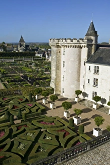 Garden at the Chateau of Villandry in autumn, Indre-et-Loire, Loire Valley, France