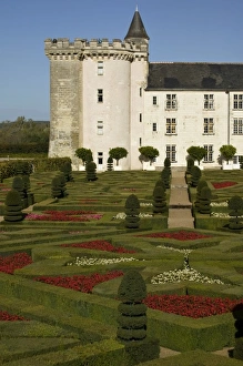 Images Dated 22nd October 2004: Garden at the Chateau of Villandry in autumn, Indre-et-Loire, Loire Valley, France