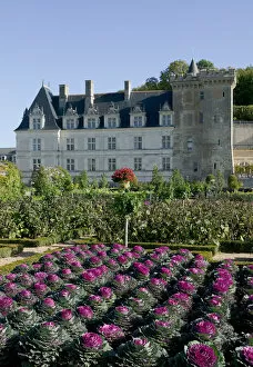 Garden at the Chateau of Villandry in autumn, Indre-et-Loire, Loire Valley, France
