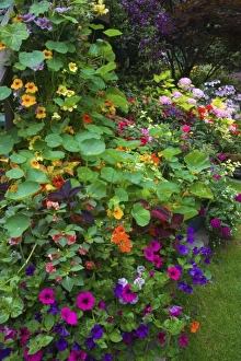 Images Dated 23rd July 2005: Garden designs in our Garden Sammamish, Washington
