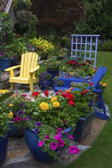 Images Dated 22nd June 2005: Garden designs in our Garden Sammamish, Washington