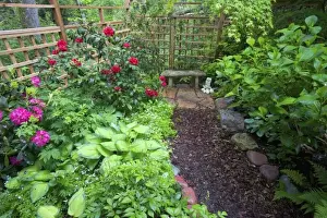 Oriental Prints: Garden designs and pathway in shade garden - in our Garden Sammamish, Washington
