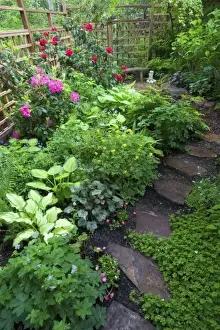 Images Dated 9th May 2005: Garden designs and pathway in shade garden - in our Garden Sammamish, Washington