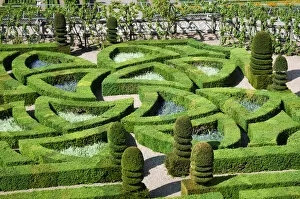Garden detail, Chateau de Villandry, Villandry, Loire Valley, France