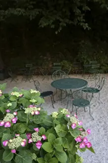 Court Yard Prints: The garden of Musee de la Vie Romantique ( Romantic live Museum). Paris. France