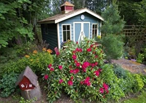 Images Dated 9th May 2005: Garden Shed surrounded by flowers in our garden - Sammamish, Washington
