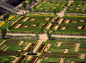 Loire Valley Prints: Garden at Villandry