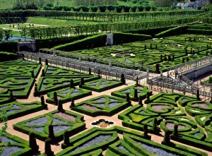 Loire Valley Prints: Garden at Villandry Chateau, Indre-et-Loire, Loire Valley, France