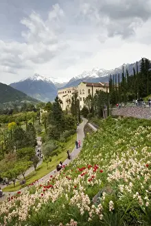 The gardens of Schloss Trauttmansdorff. they are considered to be among the finest