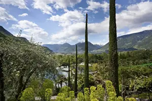 Images Dated 18th May 2010: The gardens of Schloss Trauttmansdorff. they are considered to be among the finest