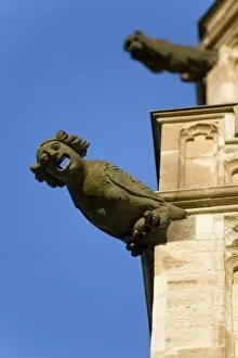 Images Dated 4th August 2007: Gargoyle on Gothic tower of Altes Rathaus (city hall), old quarter of city, Cologne