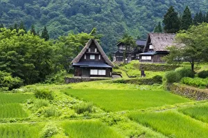 Images Dated 4th February 2015: Gassho-zukuri houses in the mountain, Ainokura Village, Gokayama, Toyama Prefecture