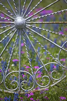 Images Dated 6th April 2005: Gate and Fence made out of metal in the design of wheels with backdrop of Texas Wildflowers