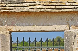 Burgundy Prints: Gate and key stone