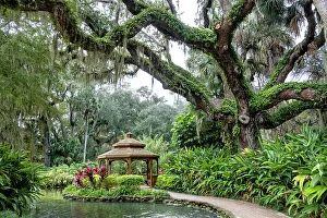 Gazebo Prints: Gazebo at Washington Oaks Gardens State Park, Palm Coast, Florida