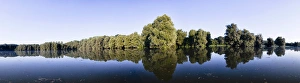 The Gemenc Forest in the Danube-Drava National Park, Hungary