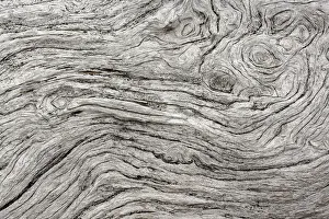 Line Prints: Geometric pattern in eroded driftwood, Bandon Beach, Oregon