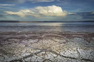 Barren Prints: Geometric patterns in drying mud