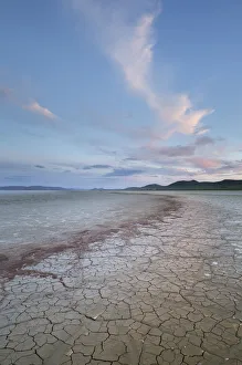 Geometric patterns in drying mud, Alvord Lake, a seasonal shallow alkali lake in Harney County