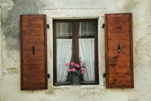 Geranium flowers in window flower box, Bale, Croatia