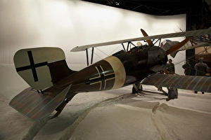 Plane Prints: German Siemens Schukert D. IV biplane