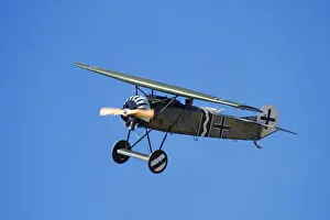Plane Prints: German WWI Fokker D-8 fighter plane (The Flying Razor )