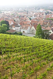 Images Dated 1st June 2008: GERMANY, Baden-Wurttemberg, Esslingen Am Neckar. Town view from vineyards