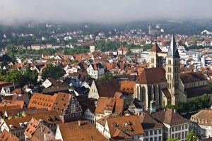 Images Dated 1st June 2008: Germany, Baden-Wurttemberg, Esslingen Am Neckar. Town view from vineyards