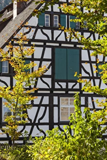 Images Dated 25th October 2014: Germany, Baden-Wurttemburg, Black Forest, Triberg, town buildings