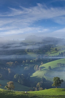Images Dated 27th October 2014: Germany, Baden-Wurttemburg, Black Forest, Horben, morning fog, autumn