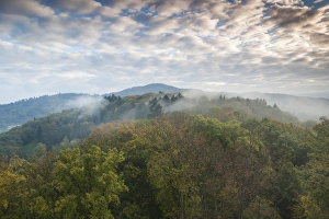 Images Dated 26th October 2014: Germany, Baden-Wurttemburg, Black Forest, Freiburg-im-Breisgau, elevated mountain