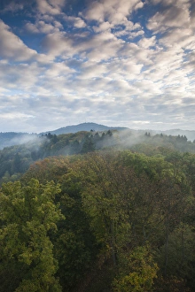 Images Dated 26th October 2014: Germany, Baden-Wurttemburg, Black Forest, Freiburg-im-Breisgau, elevated mountain