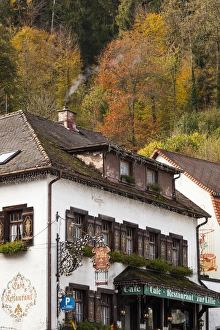 Images Dated 25th October 2014: Germany, Baden-Wurttemburg, Black Forest, Triberg, town buildings